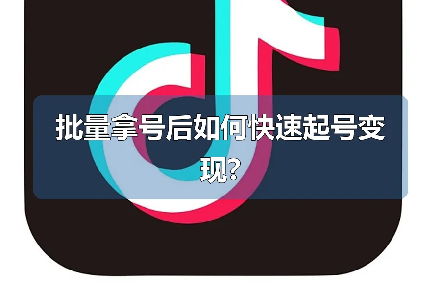 批量拿号后如何快速起号变现?